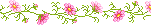 flower divider